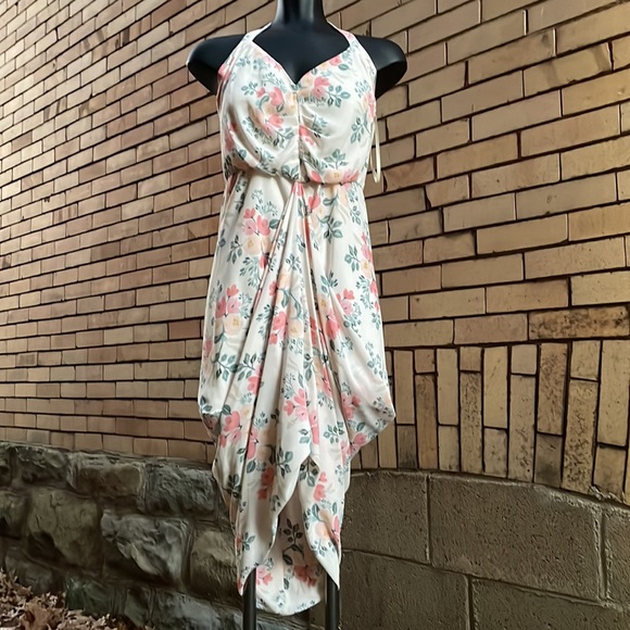 Anthropologie Paper Crown Rifle Paper Co Floral Halter bubble Dress Small - Picture 3 of 11